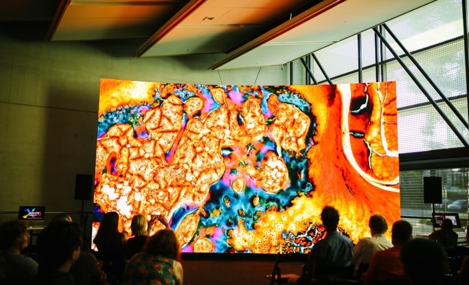 Science in Focus